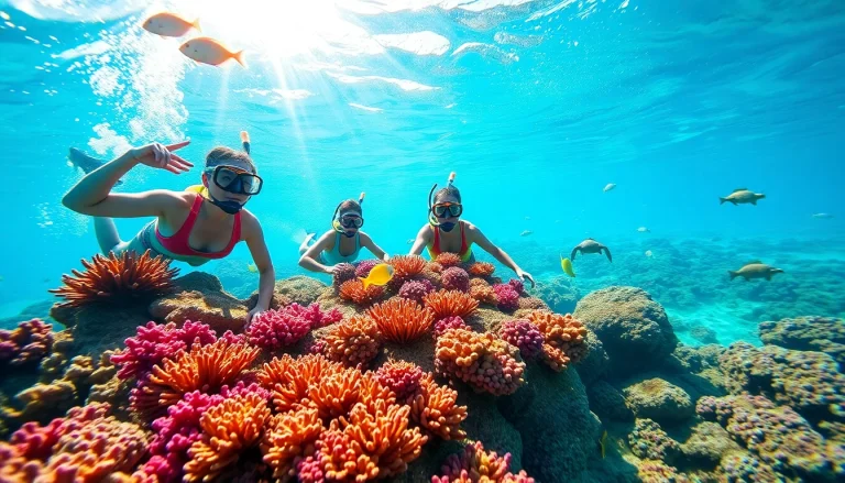 Snorkel Puerto Rico with divers exploring vibrant coral reefs and diverse marine life.